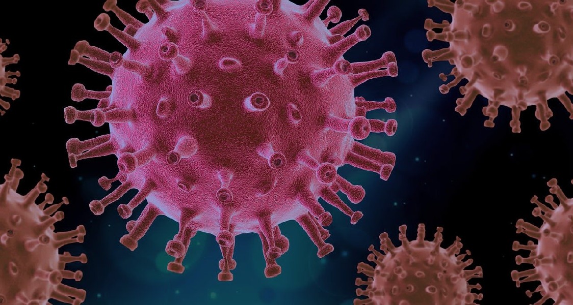 Virus Pathogen Infection Biology